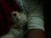 Cotton sleeping