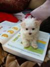 Helping momma study :)