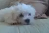 He looks innocent on the outside...