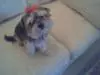 Mindy
