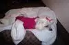 Munchkin Dunning 03/19/2012