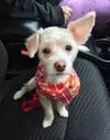 Our zany Zoe
