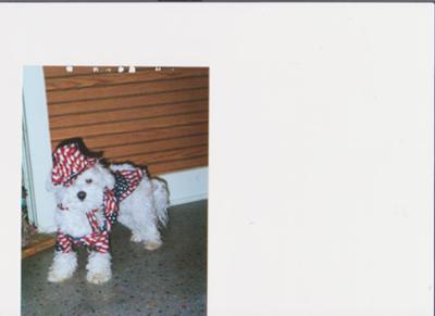 Ruffie II in his Uncle Sam's costume