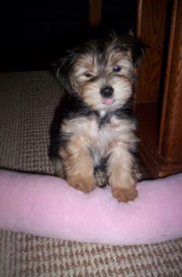 I often stick my tongue out ! only I know what it means!!!