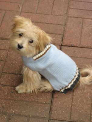 My new warm sweater-I look good in blue!