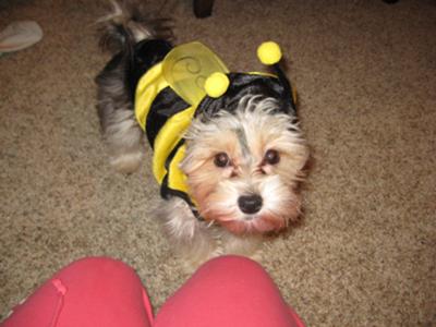 Happy Halloween!!